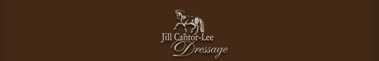 Jill Cantor-Lee