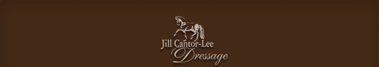 Jill Cantor-Lee